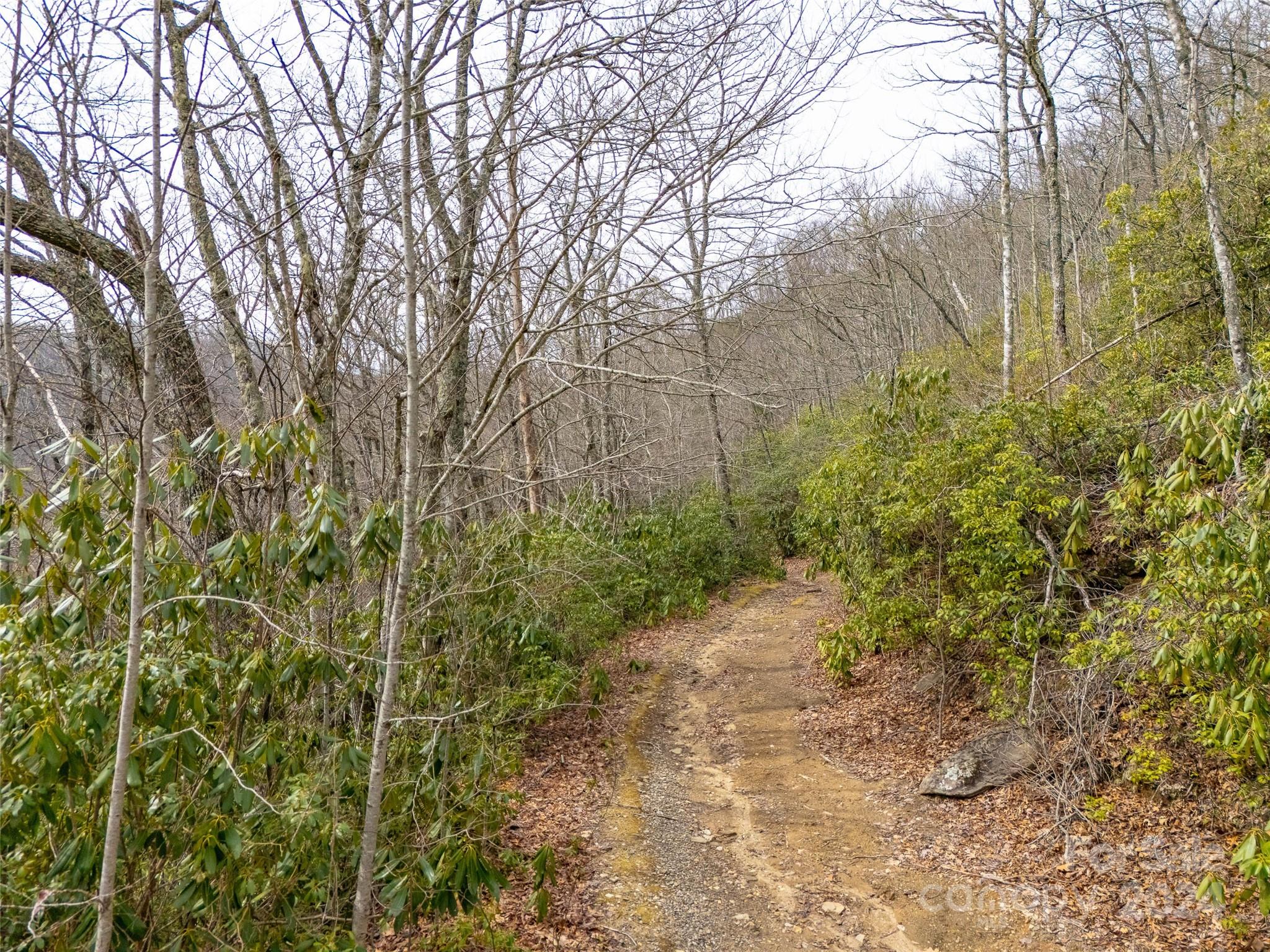 Lot 111 Cranberry Creek Road Maggie Valley NC 28751
