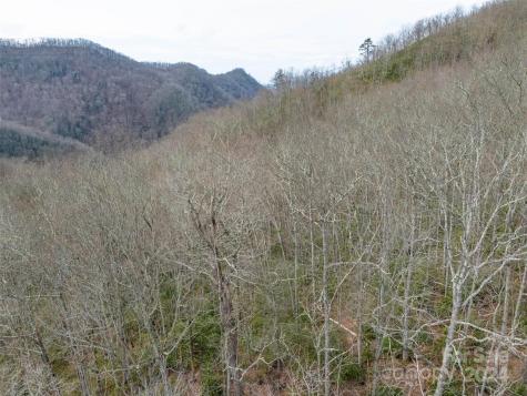 Lot 111 Cranberry Creek Road Maggie Valley NC 28751