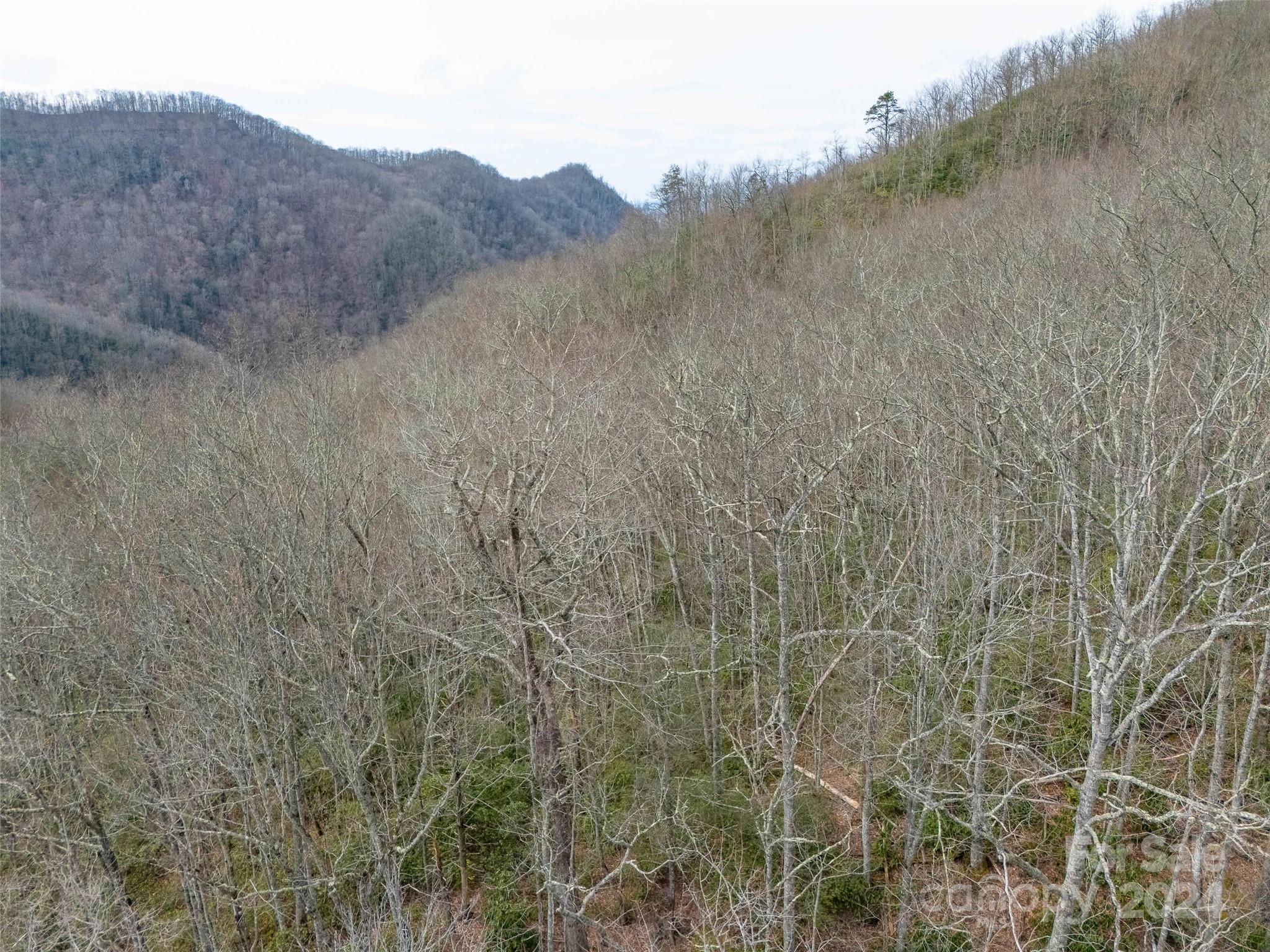 Lot 111 Cranberry Creek Road Maggie Valley NC 28751