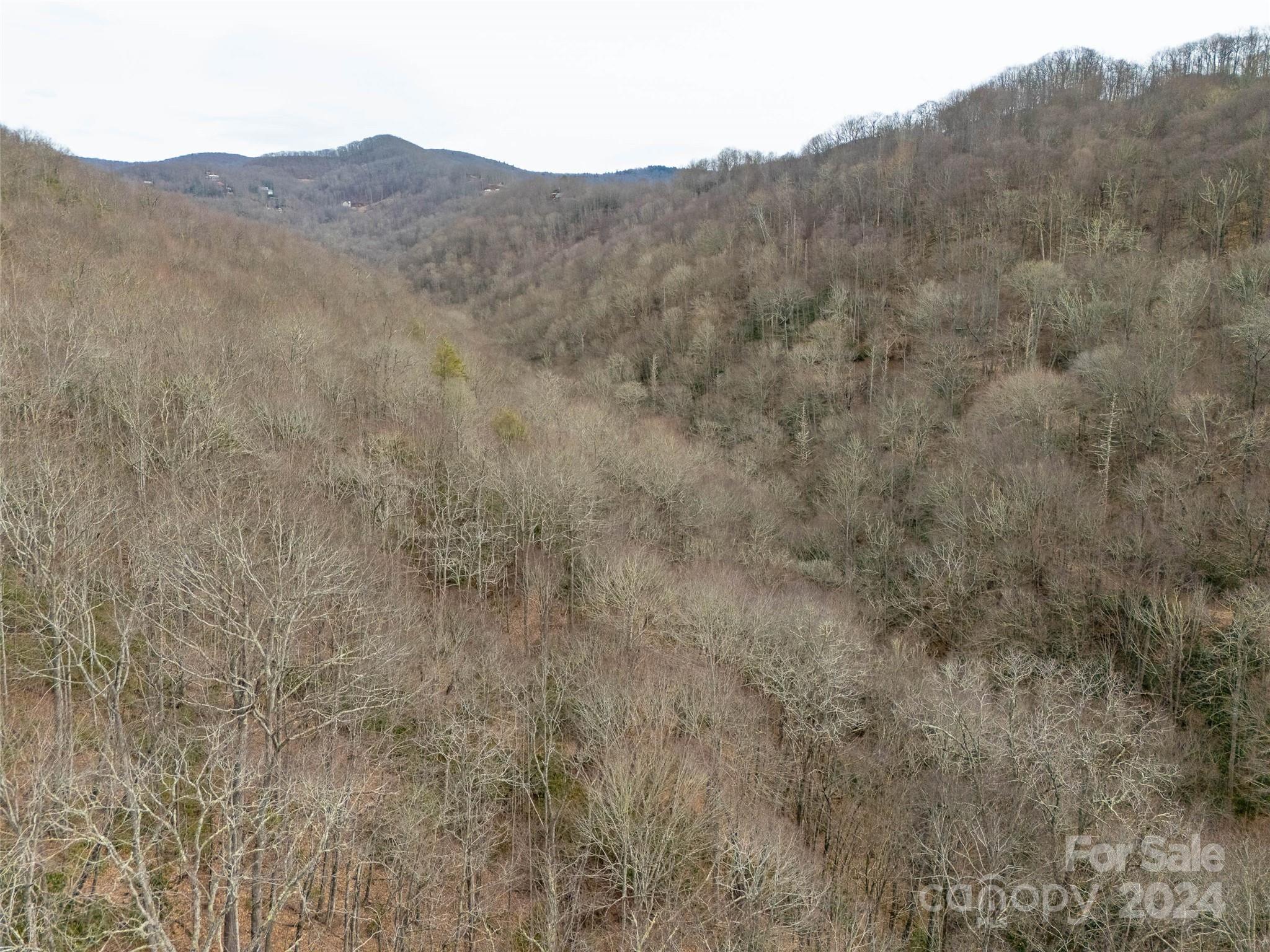 Lot 111 Cranberry Creek Road Maggie Valley NC 28751