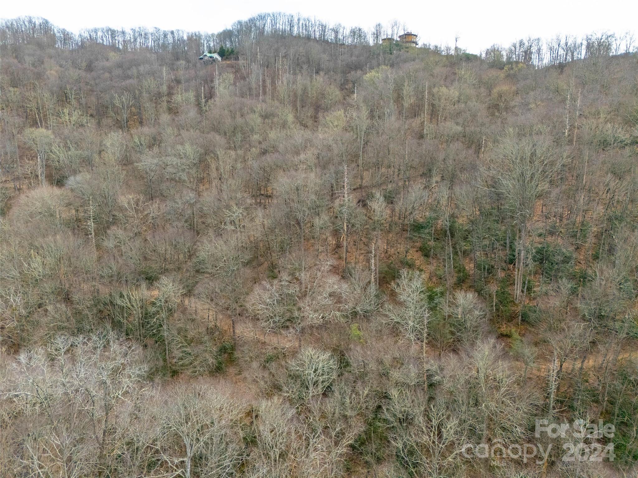 Lot 111 Cranberry Creek Road Maggie Valley NC 28751