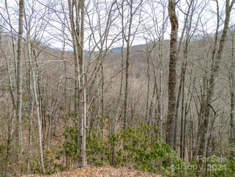 Lot 111 Cranberry Creek Road Maggie Valley NC 28751