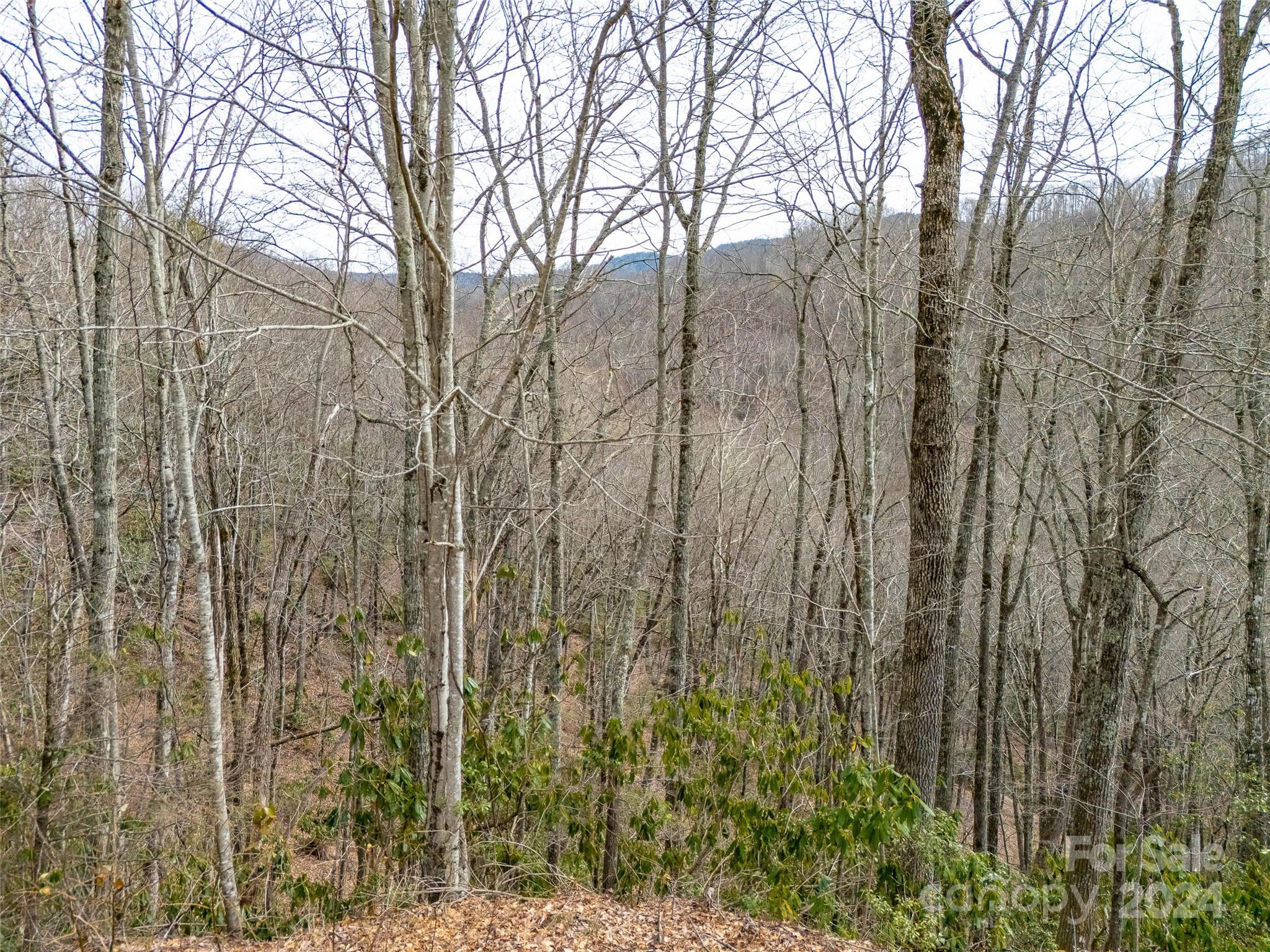 Lot 111 Cranberry Creek Road Maggie Valley NC 28751