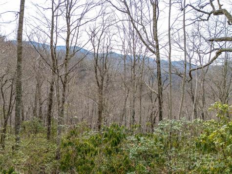 Lot 111 Cranberry Creek Road Maggie Valley NC 28751