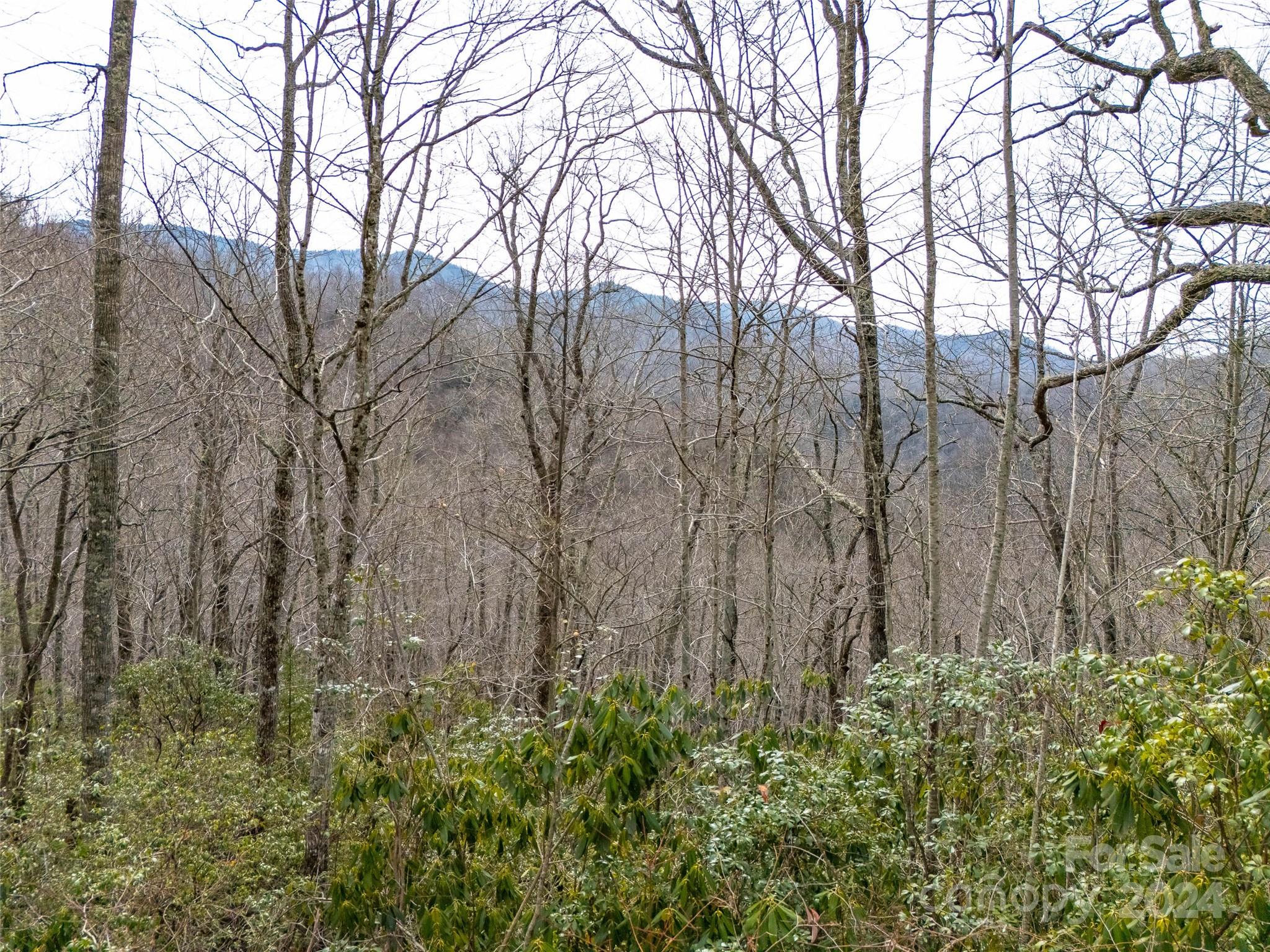 Lot 111 Cranberry Creek Road Maggie Valley NC 28751