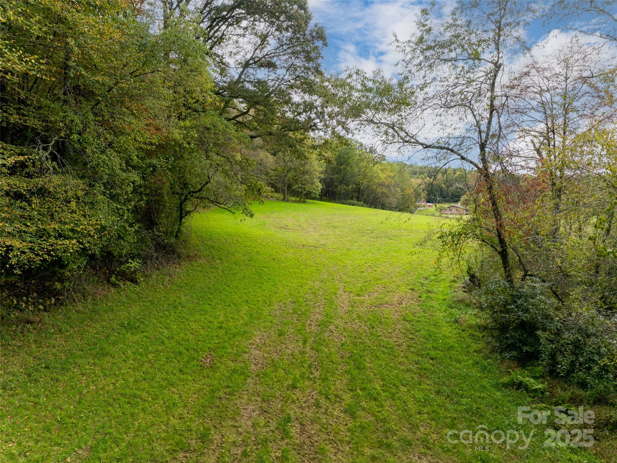 71 Happy Valley Drive Mills River NC 287759