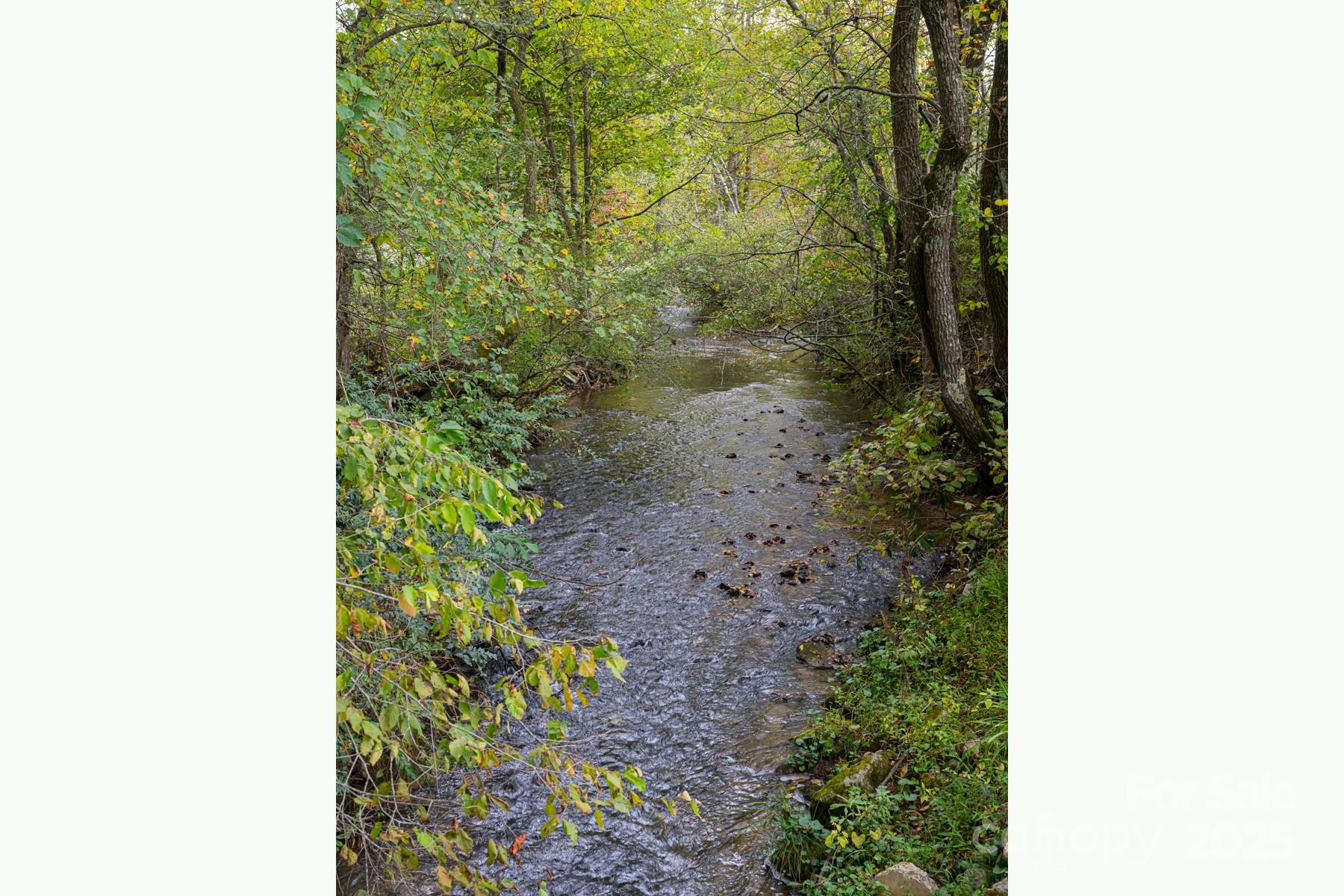 71 Happy Valley Drive Mills River NC 287759