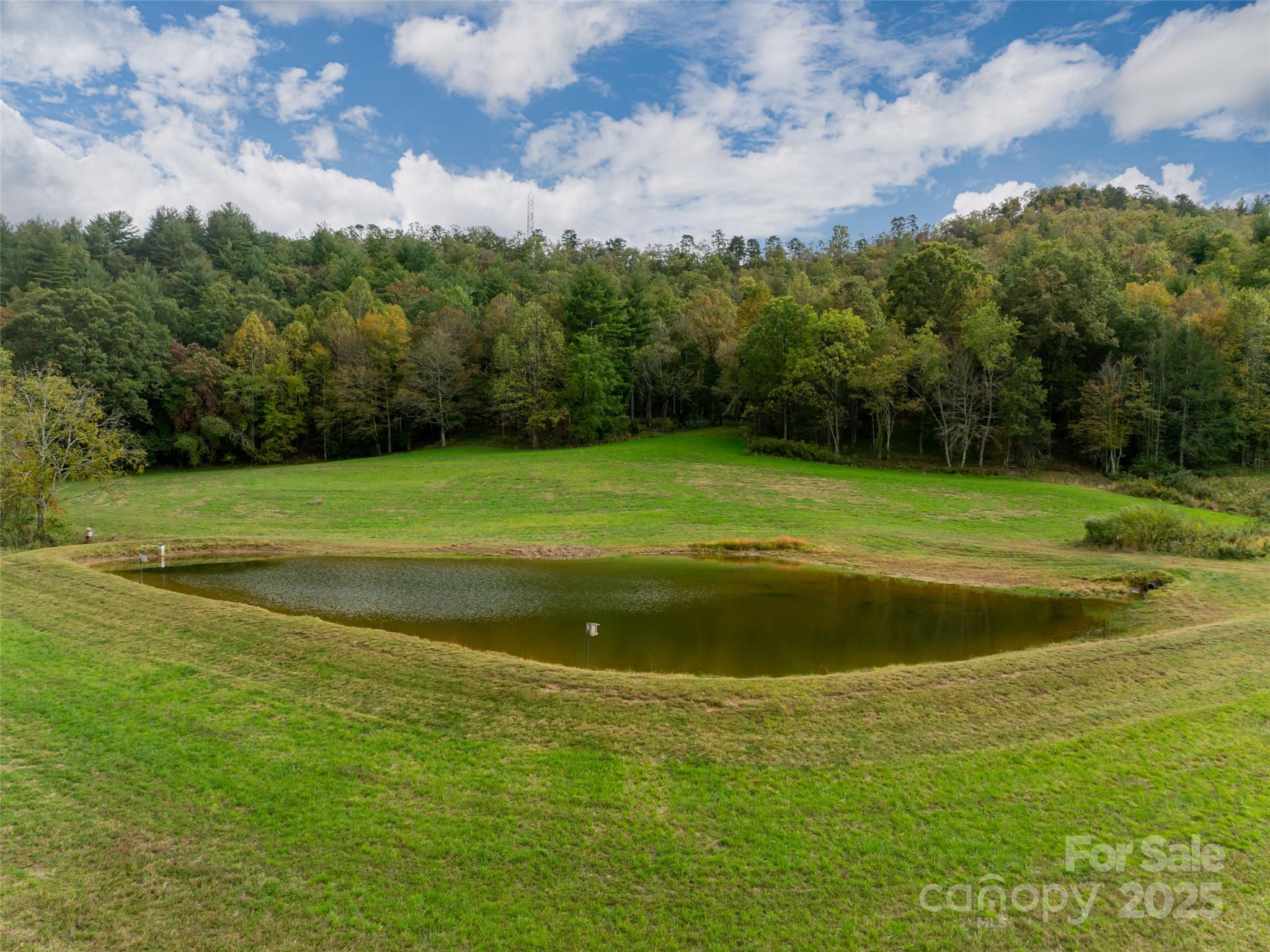 71 Happy Valley Drive Mills River NC 287759