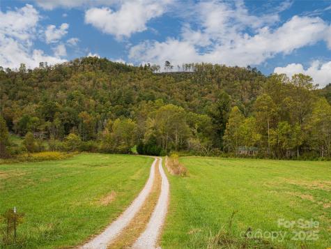 71 Happy Valley Drive Mills River NC 287759