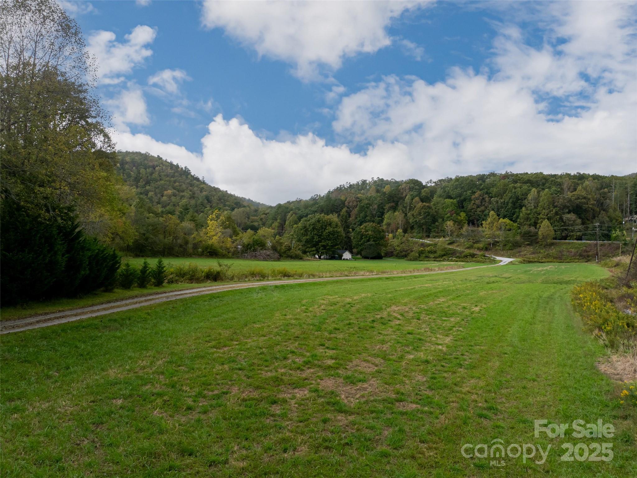 71 Happy Valley Drive Mills River NC 287759