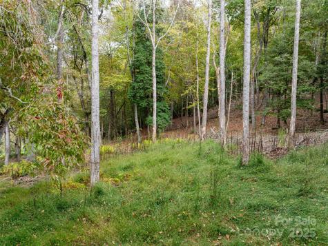 71 Happy Valley Drive Mills River NC 287759