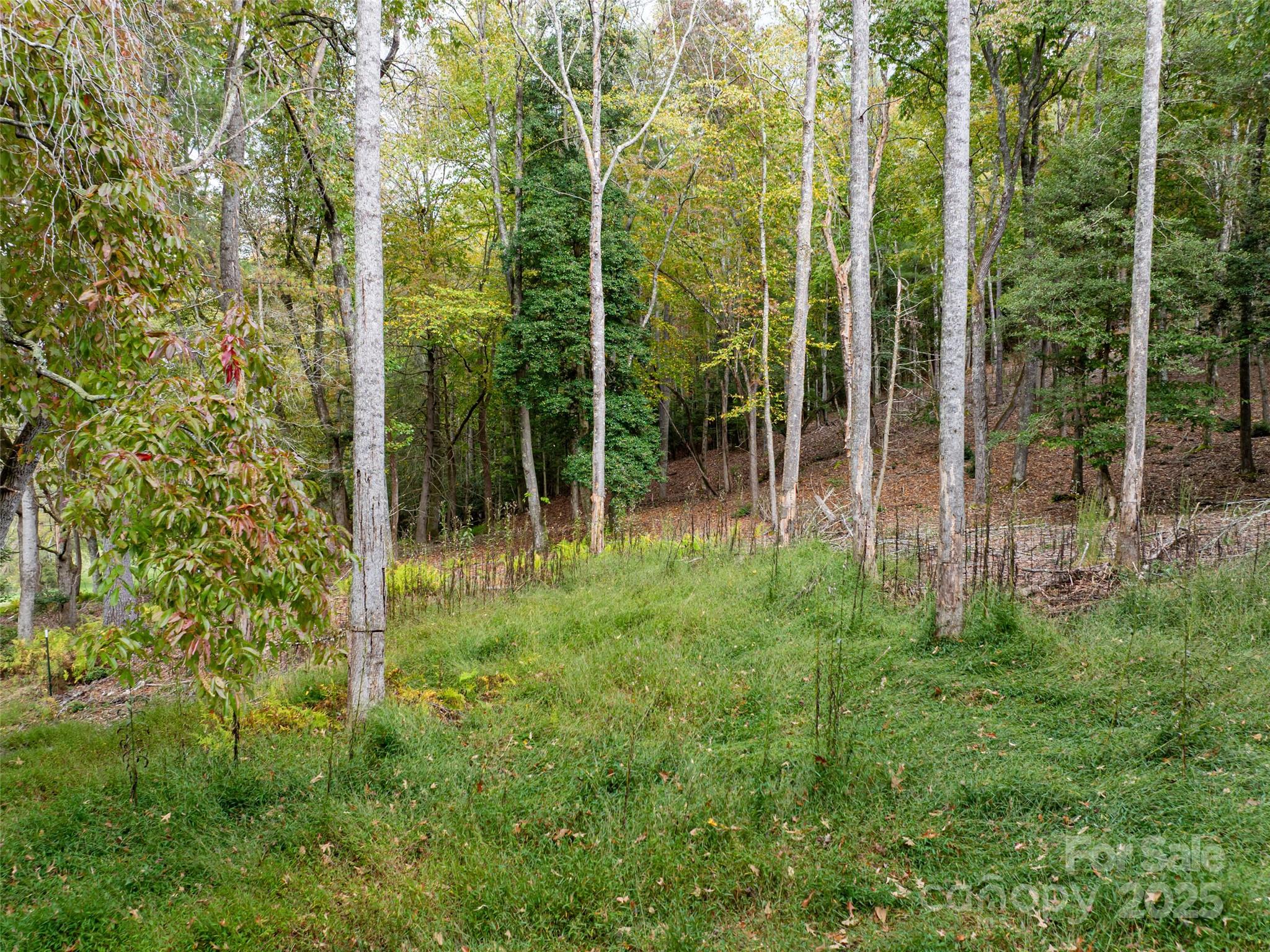 71 Happy Valley Drive Mills River NC 287759