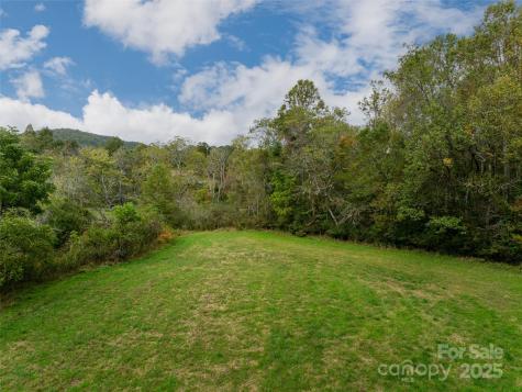 71 Happy Valley Drive Mills River NC 287759