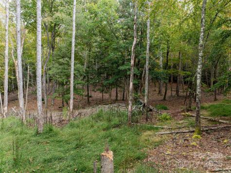71 Happy Valley Drive Mills River NC 287759