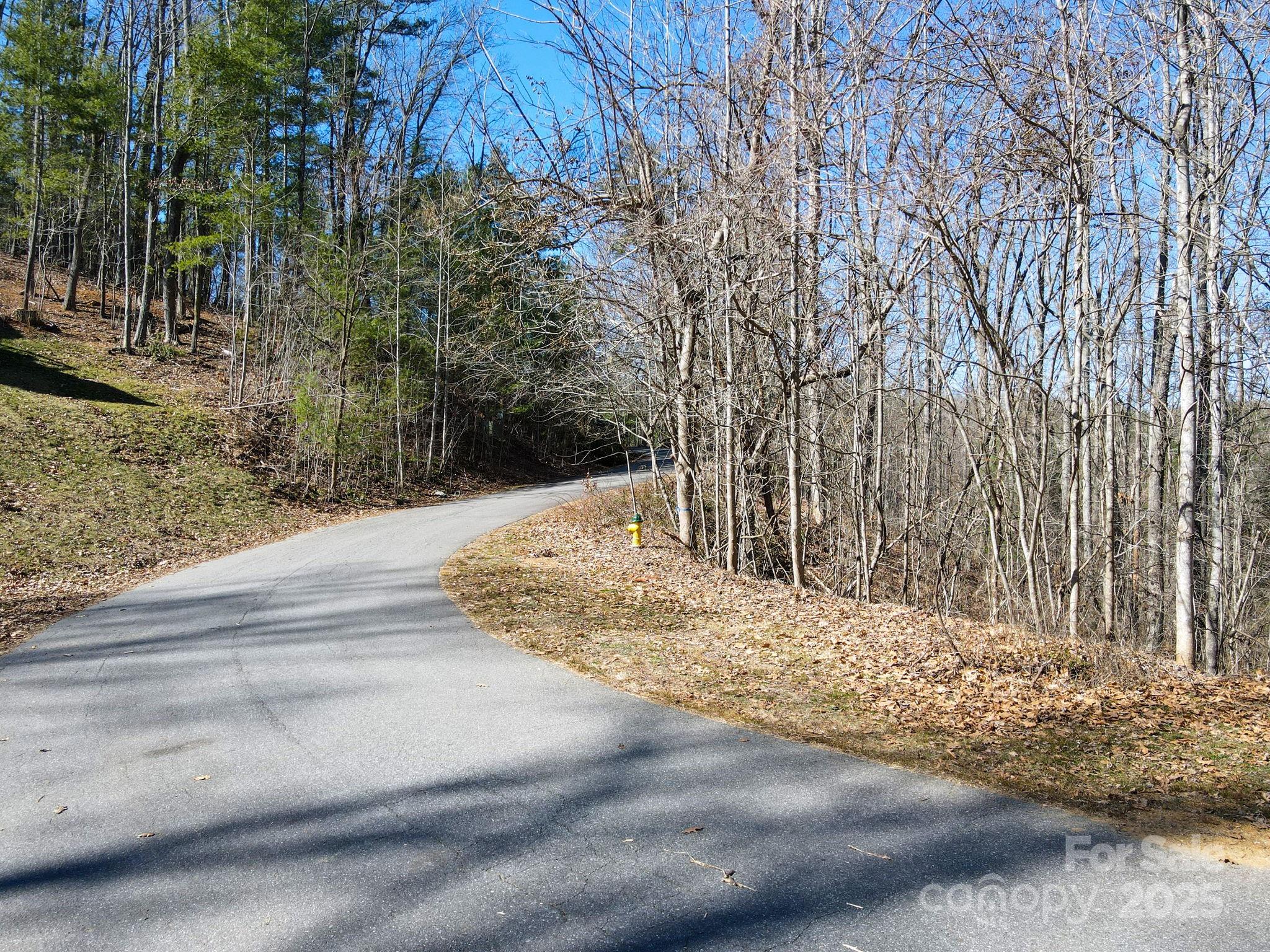 31 Forest Spring Drive Asheville NC 28804