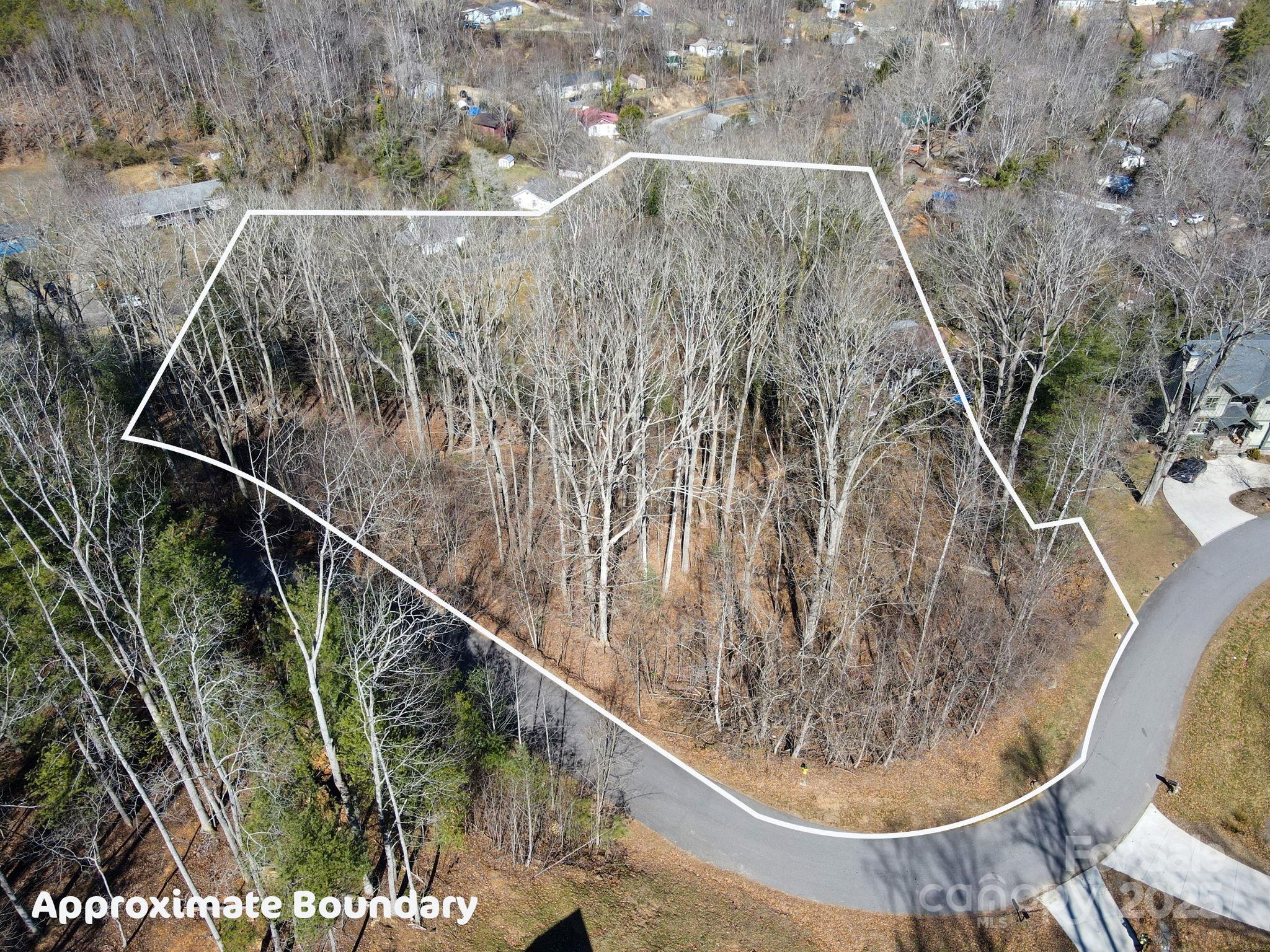 31 Forest Spring Drive Asheville NC 28804