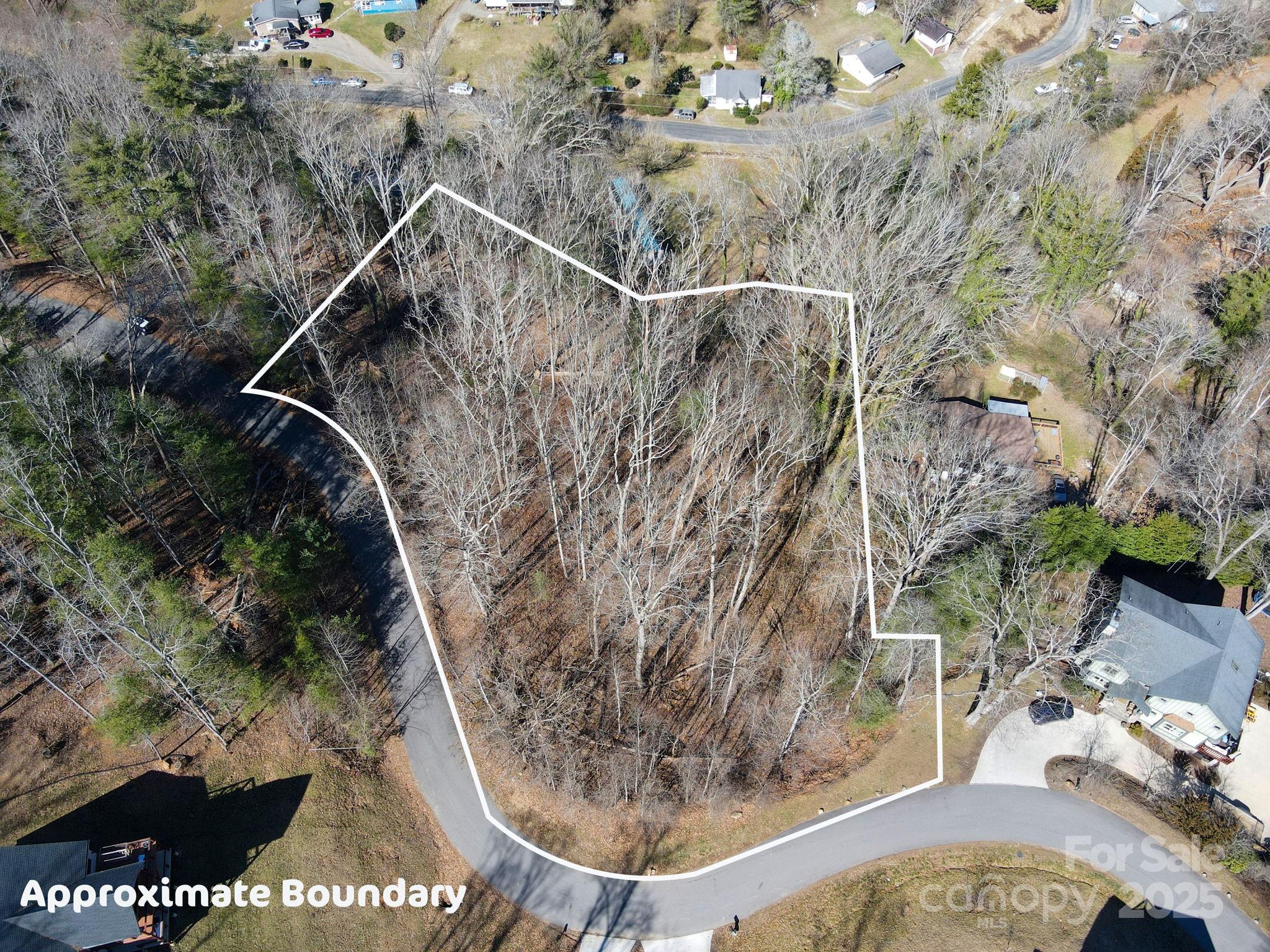 31 Forest Spring Drive Asheville NC 28804