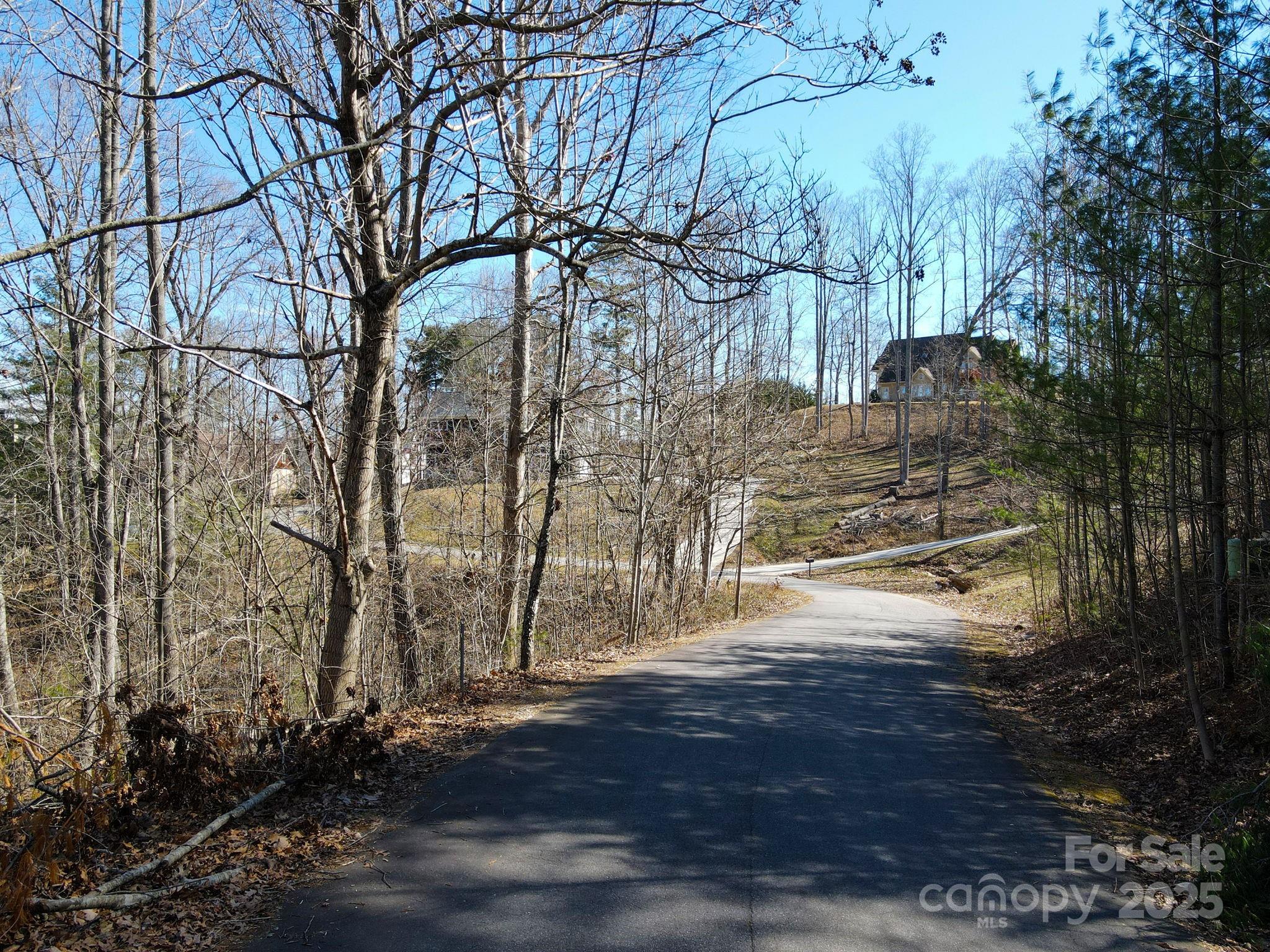 31 Forest Spring Drive Asheville NC 28804