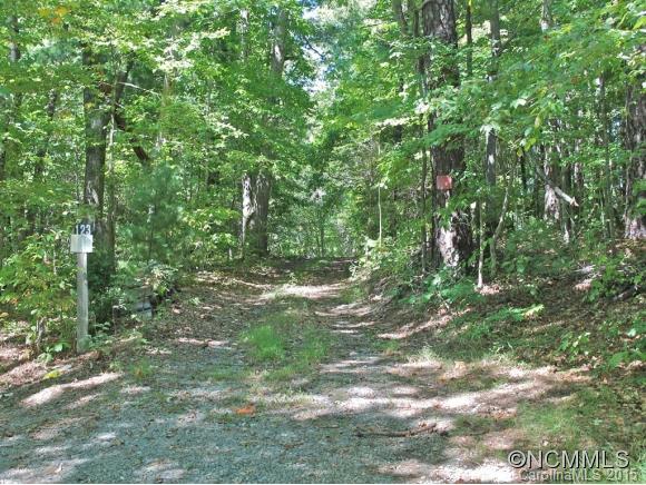 123 Hill Street Black Mountain NC 28711