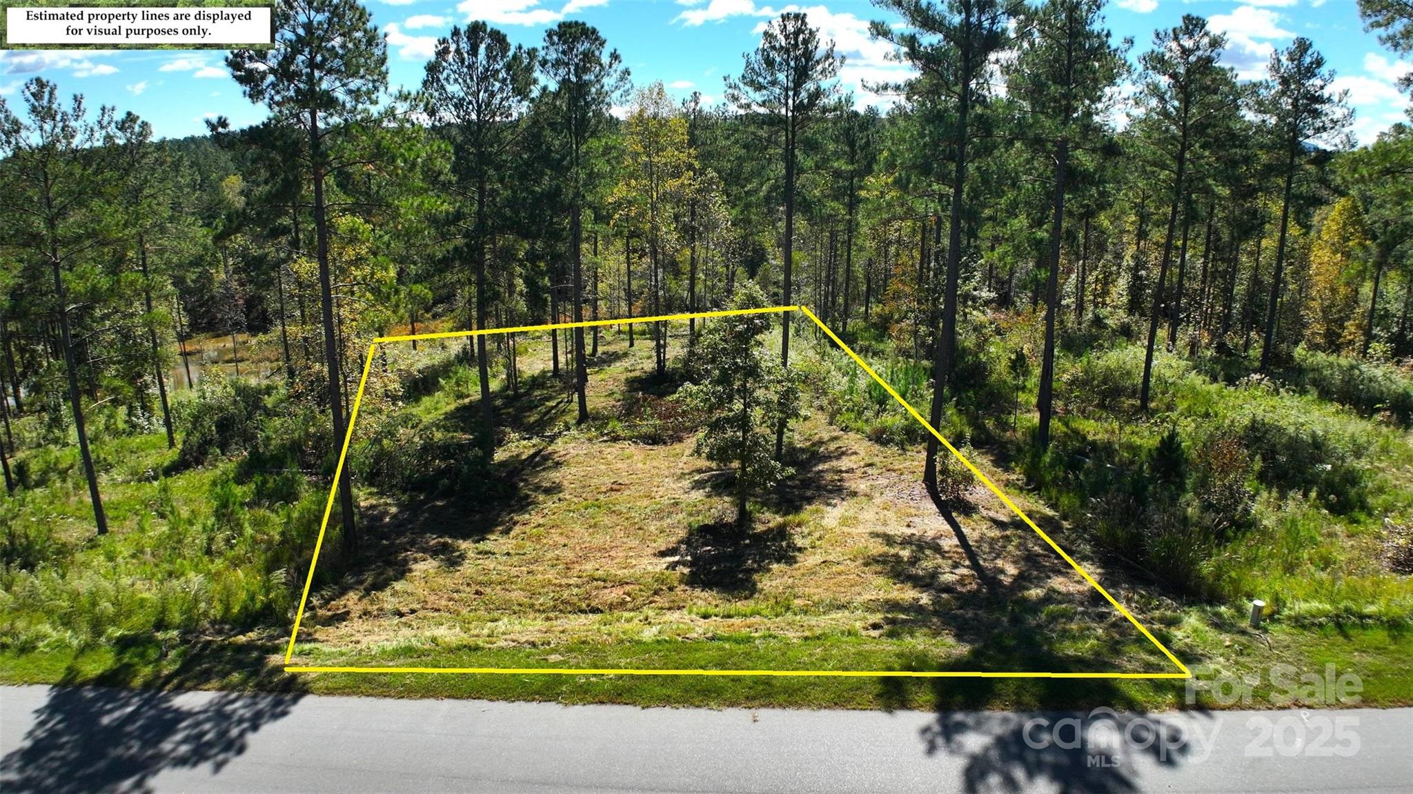 2172 Snowmass Drive Connelly Springs NC 28612