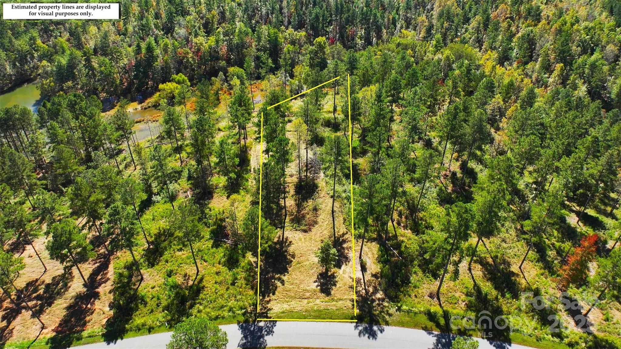 2172 Snowmass Drive Connelly Springs NC 28612
