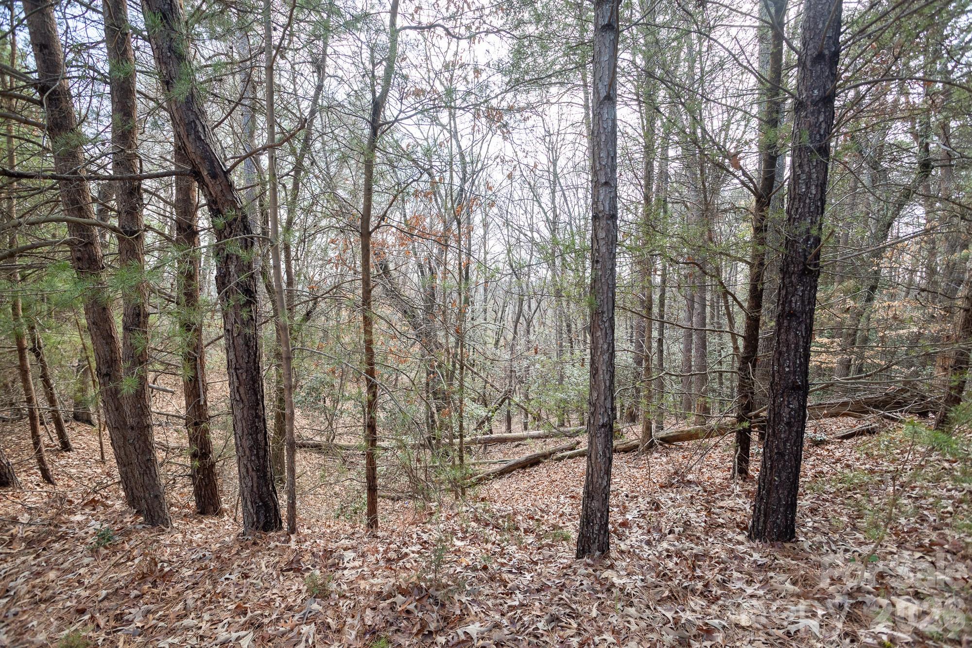 4012 Beechwood Spring Lane Belmont NC 28012