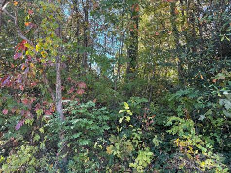00 Upper Ridgewood Boulevard Hendersonville NC 28739