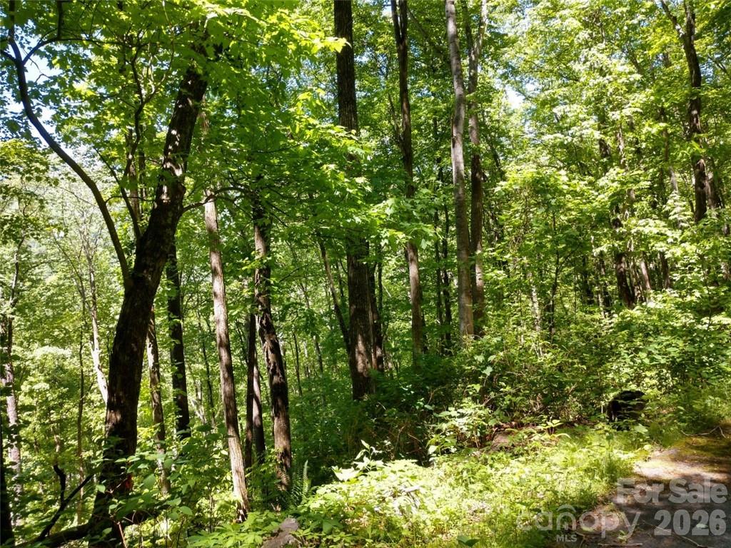 00 Hudson Valley Drive Waynesville NC 28786