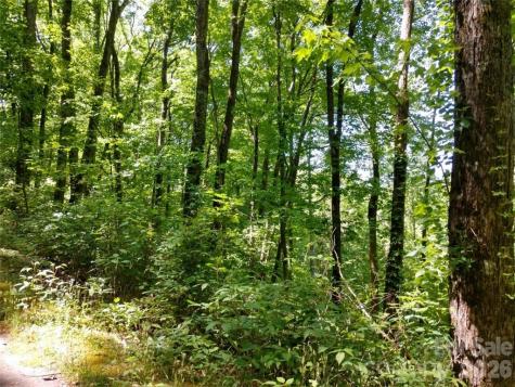 00 Hudson Valley Drive Waynesville NC 28786