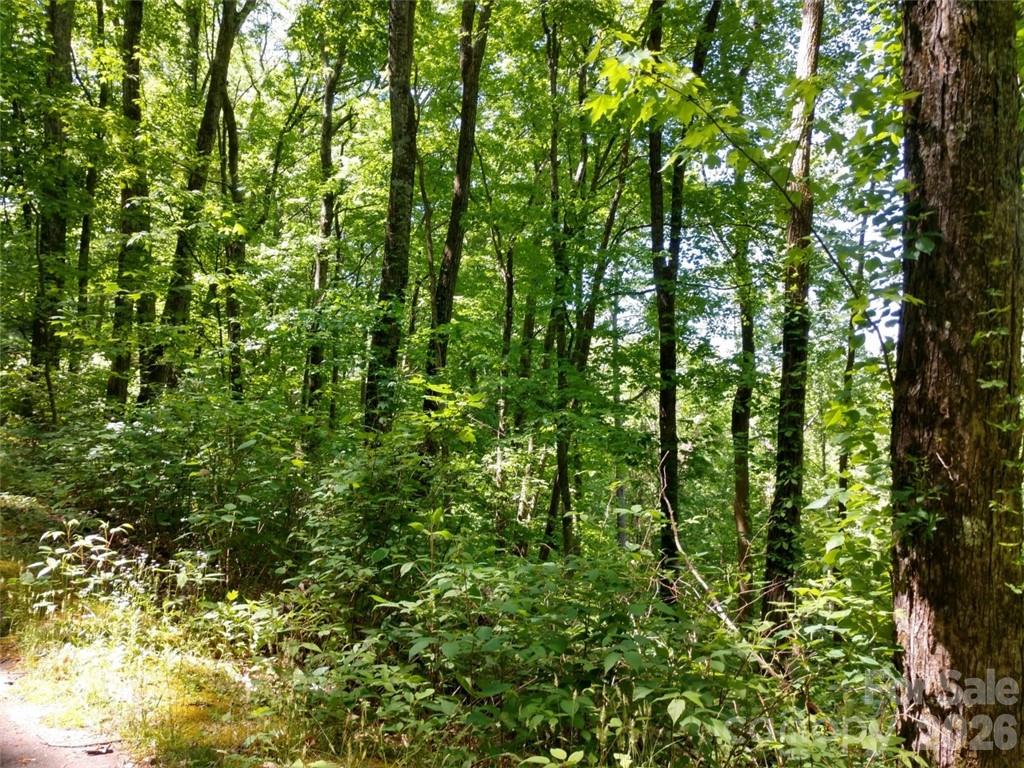 00 Hudson Valley Drive Waynesville NC 28786