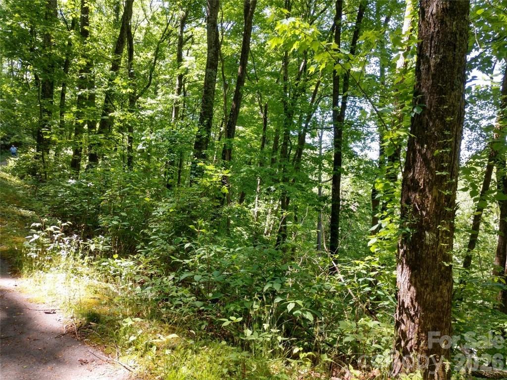 00 Hudson Valley Drive Waynesville NC 28786