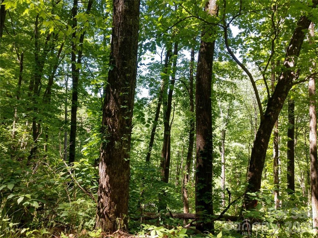 00 Hudson Valley Drive Waynesville NC 28786