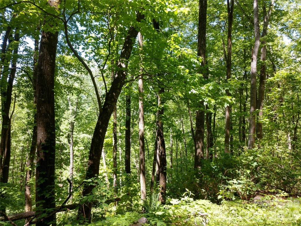 00 Hudson Valley Drive Waynesville NC 28786