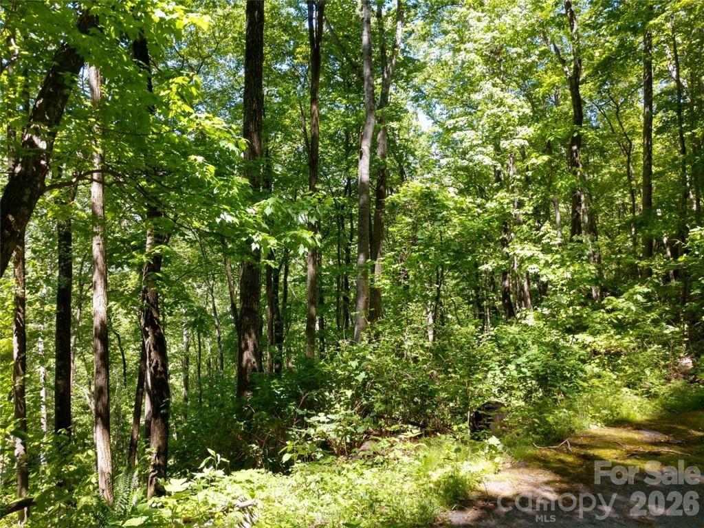 00 Hudson Valley Drive Waynesville NC 28786