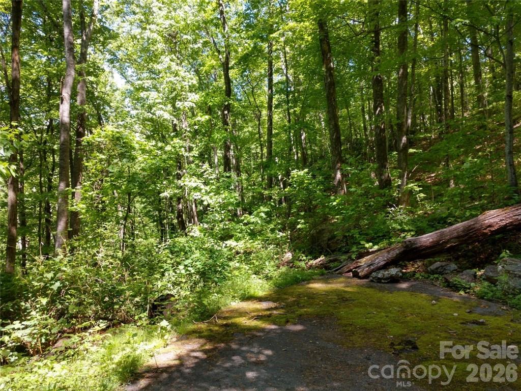 00 Hudson Valley Drive Waynesville NC 28786