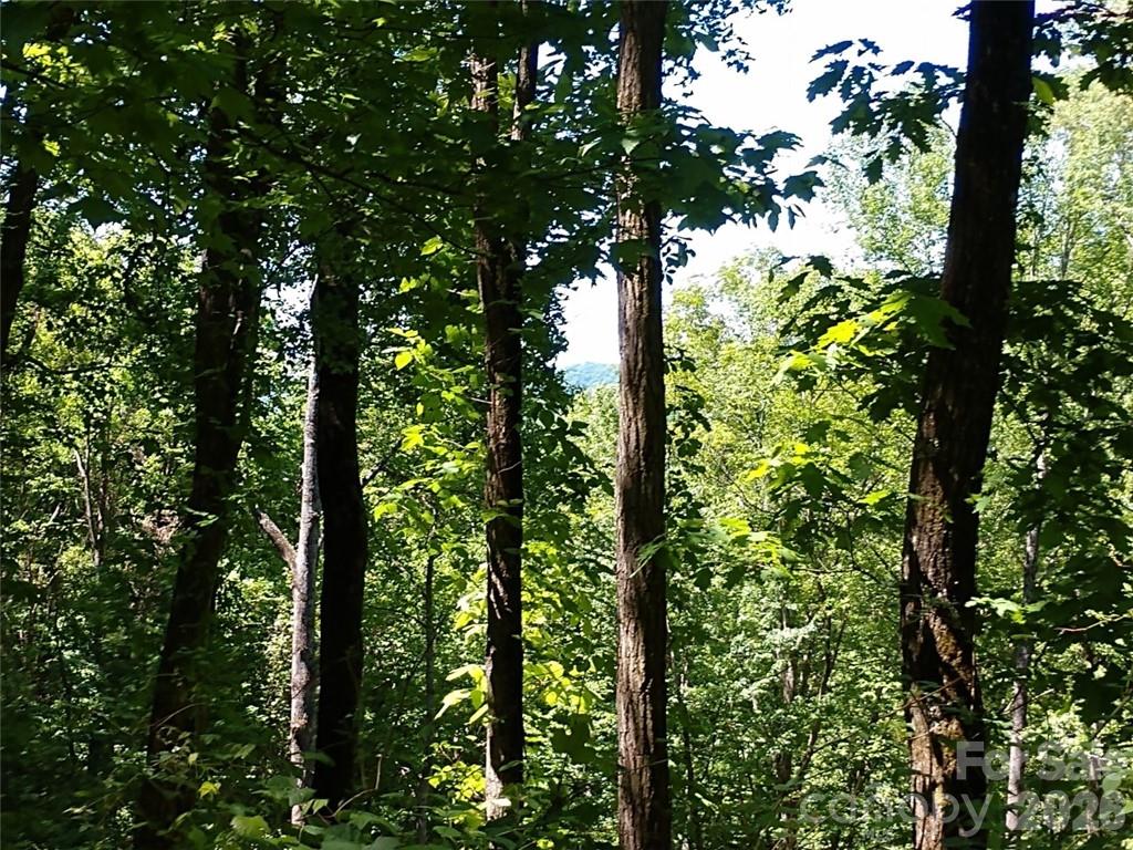00 Hudson Valley Drive Waynesville NC 28786