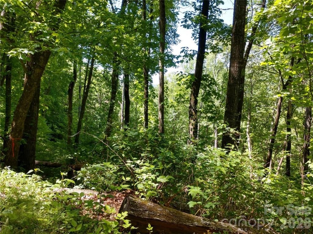 00 Hudson Valley Drive Waynesville NC 28786