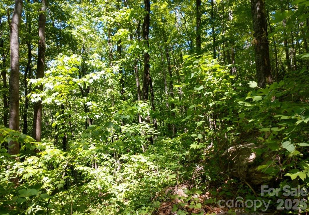 00 Hudson Valley Drive Waynesville NC 28786