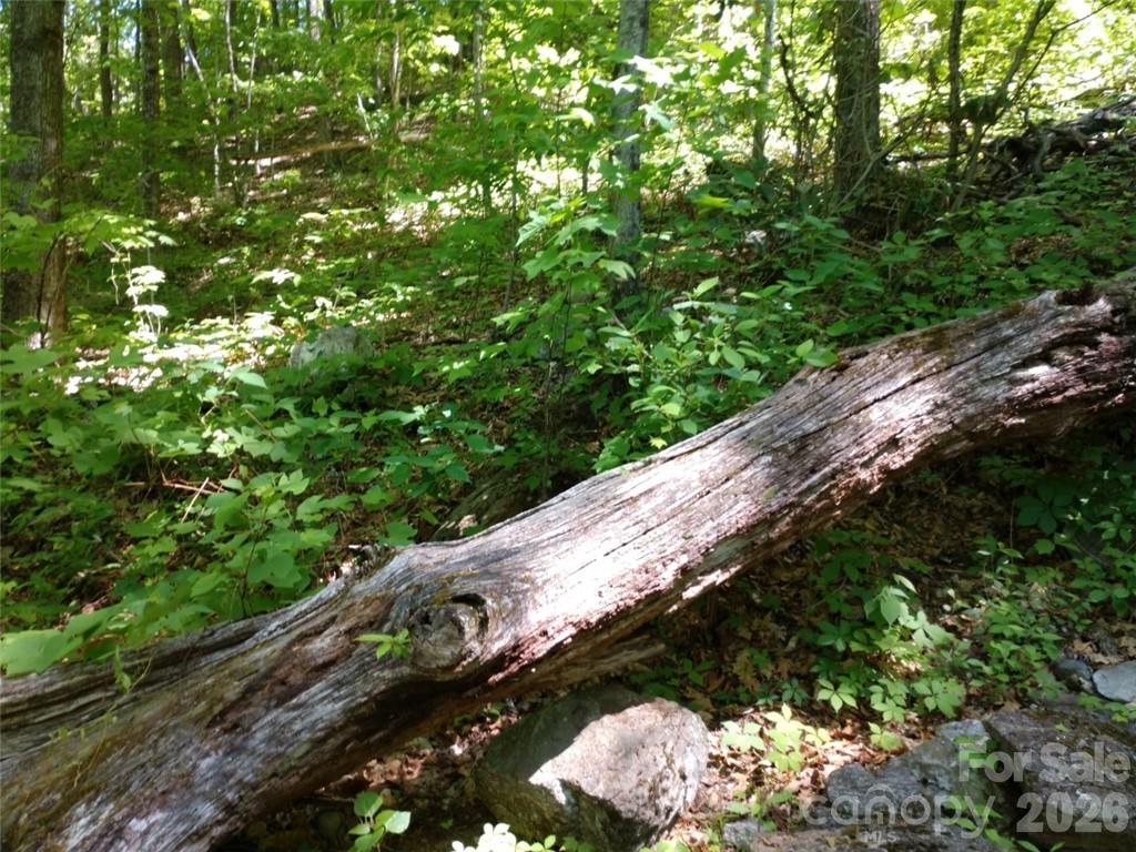 00 Hudson Valley Drive Waynesville NC 28786