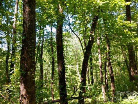 00 Hudson Valley Drive Waynesville NC 28786