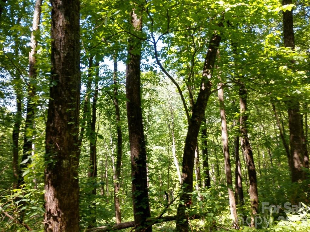 00 Hudson Valley Drive Waynesville NC 28786