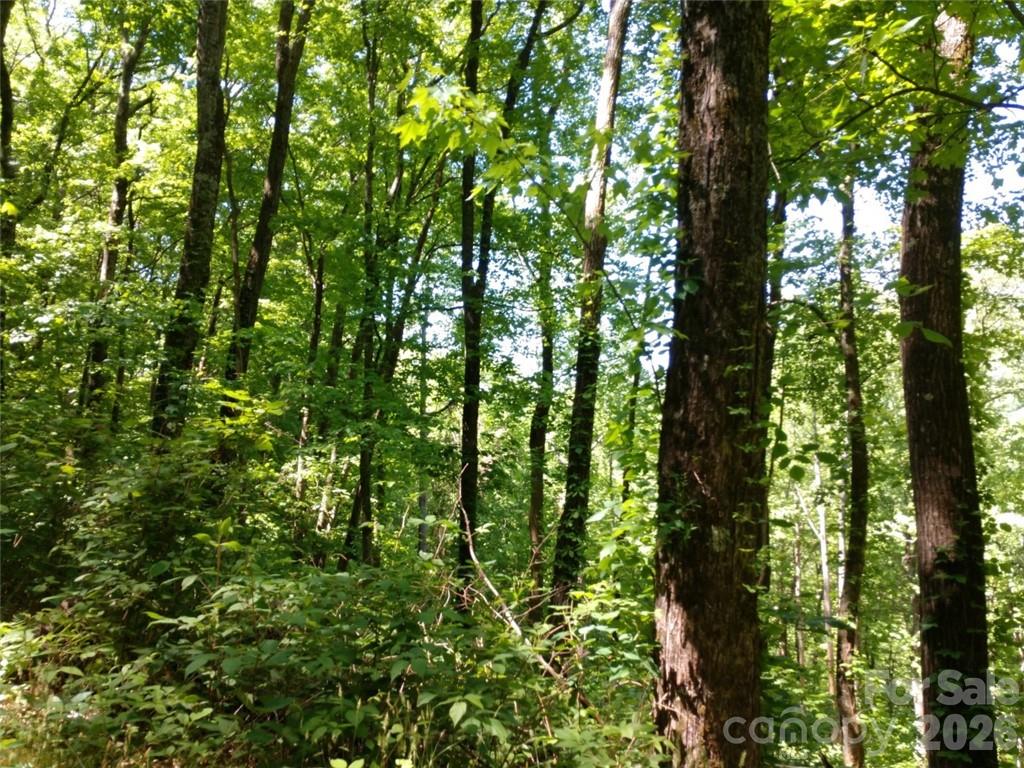 00 Hudson Valley Drive Waynesville NC 28786