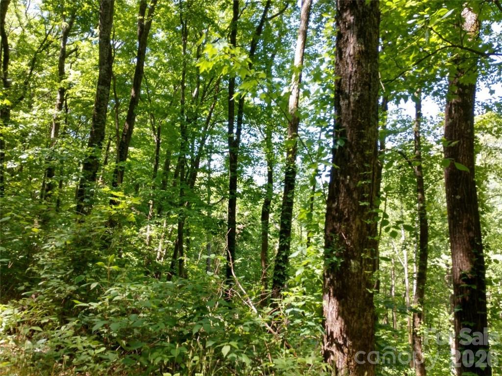 00 Hudson Valley Drive Waynesville NC 28786