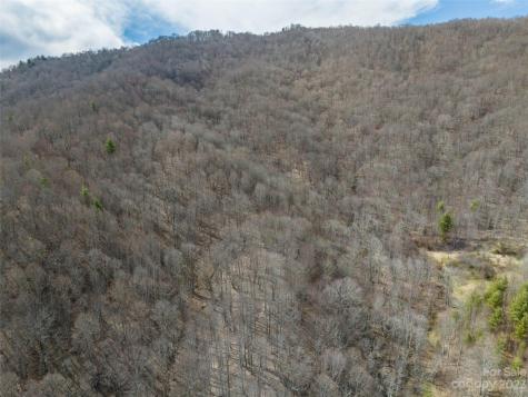 00 Wesley Creek Road Clyde NC 28721