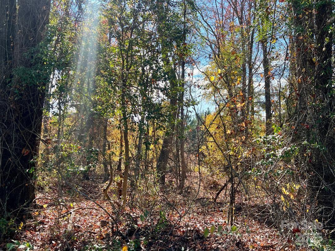 11.53 Acres Old Camden Highway Lancaster SC 29720