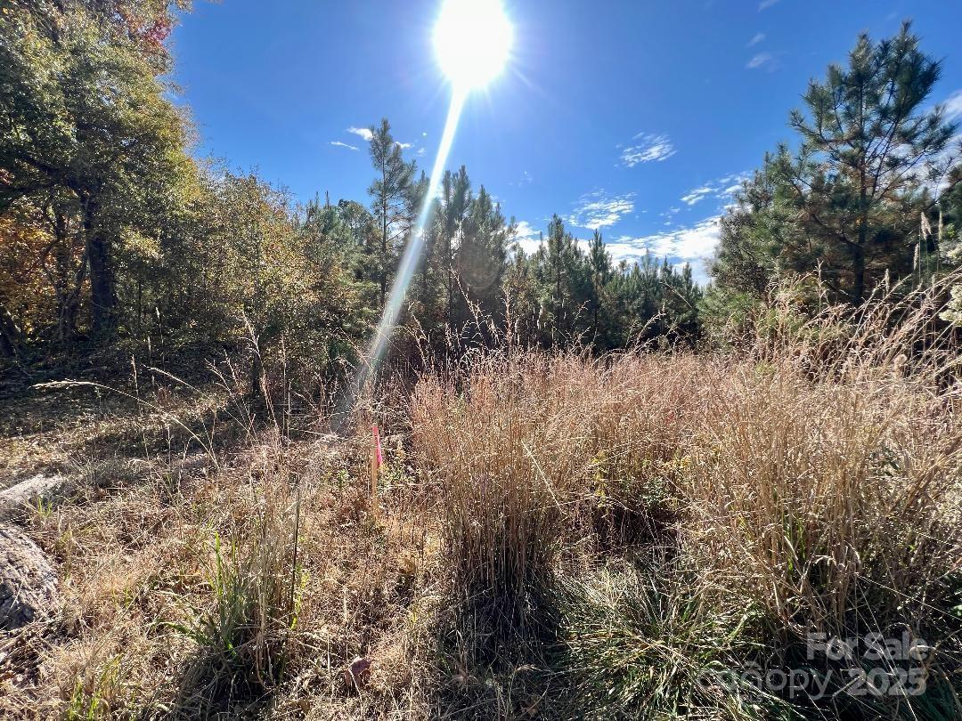 11.53 Acres Old Camden Highway Lancaster SC 29720