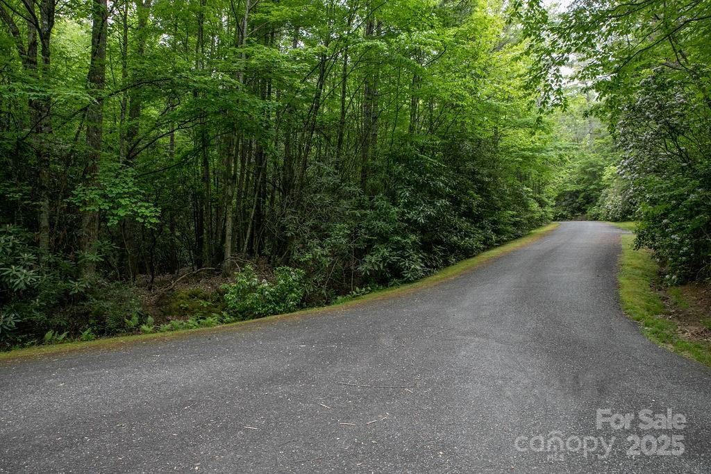 Lt 306 Old Spring Road Brevard NC 28712