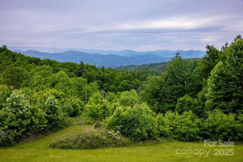 Lt 306 Old Spring Road Brevard NC 28712