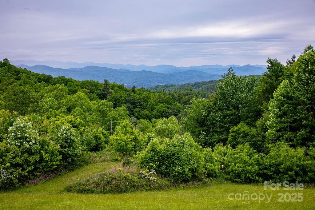 Lt 306 Old Spring Road Brevard NC 28712