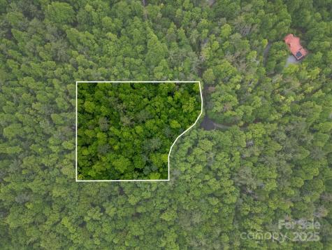 Lt 306 Old Spring Road Brevard NC 28712